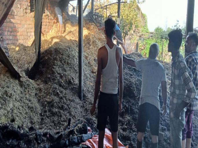 A fierce fire in the cowshed due to short circuit, four animals died and one bull seriously injured | मध्यरात्री गोठ्याला भीषण आग; चार जनावरांचा होरपळून मृत्यू, शेती साहित्य जळून खाक A fierce fire in the cowshed due to short circuit, four animals died and one bull seriously injured | मध्यरात्री गोठ्याला भीषण आग; चार जनावरांचा होरपळून मृत्यू, शेती साहित्य जळून खाक