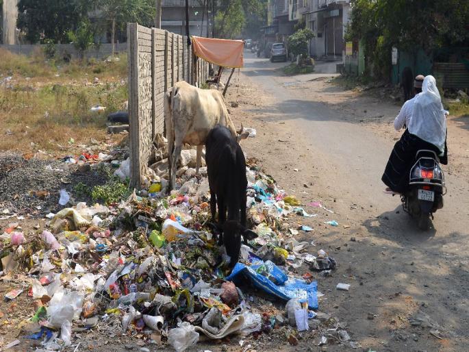 What if the stench doesn't spread? 250 metric tons of waste every day! | दुर्गंधी पसरणार नाही तर काय? २५० मेट्रिक टन कचरा रोज पडूनच! What if the stench doesn't spread? 250 metric tons of waste every day! | दुर्गंधी पसरणार नाही तर काय? २५० मेट्रिक टन कचरा रोज पडूनच!