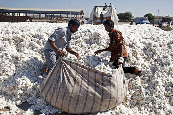 Government cotton buying is uncertain | शासकीय कापूस खरेदी अनिश्चित Government cotton buying is uncertain | शासकीय कापूस खरेदी अनिश्चित