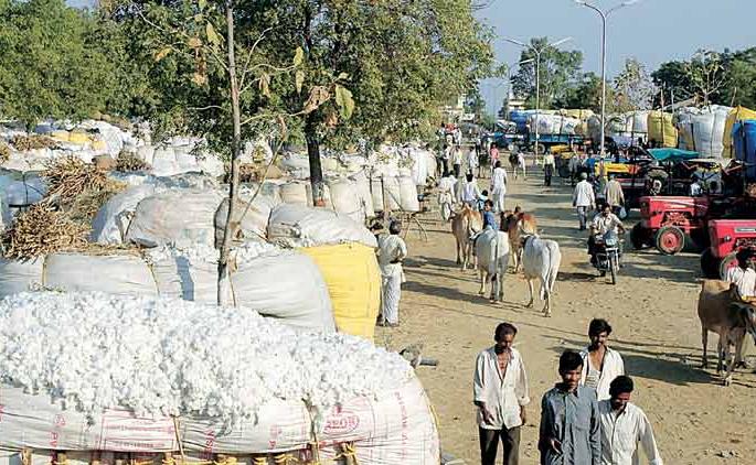 Government Cotton Collection Center closed Without buying cotton | खरेदीविनाच शासकीय कापूस संकलन केंद्रांनी गुंडाळला गाशा Government Cotton Collection Center closed Without buying cotton | खरेदीविनाच शासकीय कापूस संकलन केंद्रांनी गुंडाळला गाशा