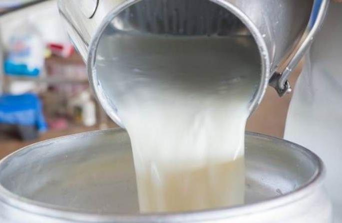Increase in government milk collection in Akola district | अकोला जिल्ह्यात शासकीय दूध संकलनात वाढ