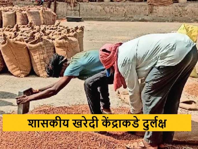 Latest News Sale of farm produce in open market instead of government procurement centre | मका, हरभरा खरेदी केंद्रावर नोंदणी शून्य, शेतकऱ्यांची खुल्या बाजाराला पसंती Latest News Sale of farm produce in open market instead of government procurement centre | मका, हरभरा खरेदी केंद्रावर नोंदणी शून्य, शेतकऱ्यांची खुल्या बाजाराला पसंती