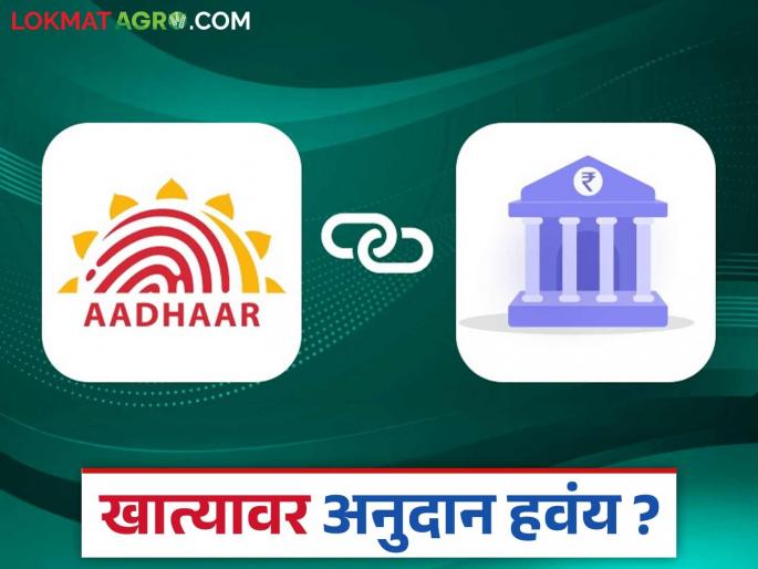 Aadhaar Seeding: If you want a subsidy on your account, have you linked Aadhaar? Read in detail | Aadhaar Seeding : खात्यावर अनुदान हवंय, तर आधार लिंक केले का? वाचा सविस्तर Aadhaar Seeding: If you want a subsidy on your account, have you linked Aadhaar? Read in detail | Aadhaar Seeding : खात्यावर अनुदान हवंय, तर आधार लिंक केले का? वाचा सविस्तर