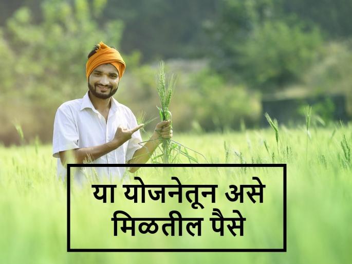 Government Scheme When can woman farmer's husband get help of two lakhs? | Government Scheme: केव्हा मिळू शकते शेतकरी पतीला दोन लाखांची मदत? जाणून घ्या