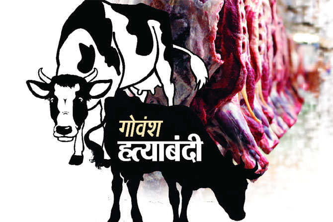 Suspected of killing cattle again in Chiplun? | चिपळुणात पुन्हा गोवंश हत्या झाल्याचा संशय? Suspected of killing cattle again in Chiplun? | चिपळुणात पुन्हा गोवंश हत्या झाल्याचा संशय?