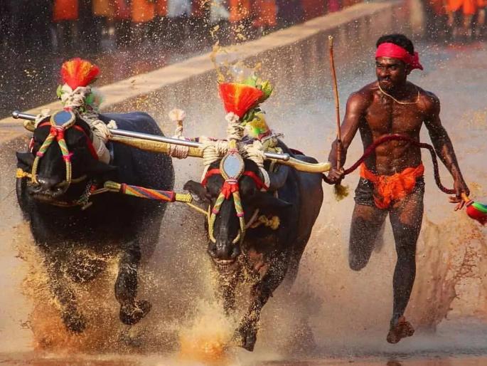 The Modi government will call on the Indian runner who broke Usain Bolt's record and ... | उसेन बोल्टचा रेकॉर्ड मोडणाऱ्या भारतीय धावपटूला मोदी सरकार बोलावणार आणि... The Modi government will call on the Indian runner who broke Usain Bolt's record and ... | उसेन बोल्टचा रेकॉर्ड मोडणाऱ्या भारतीय धावपटूला मोदी सरकार बोलावणार आणि...