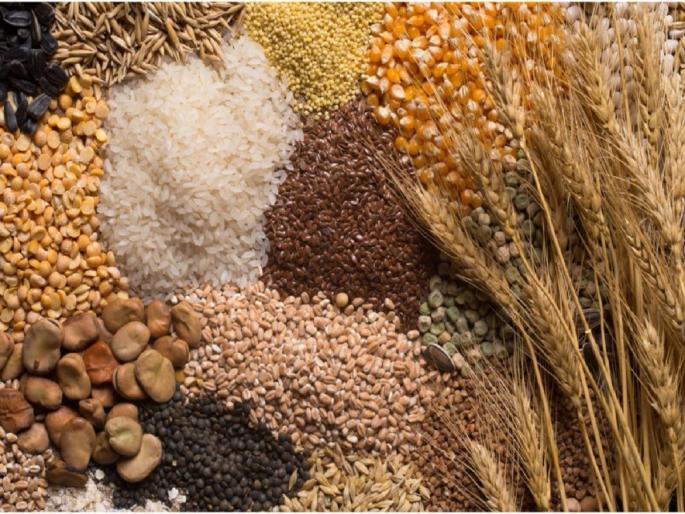 Stop short for the annual grain purchase; Cloudy weather will be dangerous, take it when the sky is dry | वार्षिक धान्य खरेदीसाठी थोड थांबा; ढगाळ वातावरण ठरेल घातक, आकाश कोरडे झाल्यावर घ्या Stop short for the annual grain purchase; Cloudy weather will be dangerous, take it when the sky is dry | वार्षिक धान्य खरेदीसाठी थोड थांबा; ढगाळ वातावरण ठरेल घातक, आकाश कोरडे झाल्यावर घ्या