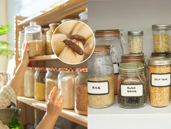 To prevent pests from infesting grains while storing them, keep 5 chemical-free things in grains, home remedies | धान्य साठवताना कीड लागू नये म्हणून त्यात ठेवा केमिकल फ्री ५ गोष्टी, अळ्या-कीडे होणार नाहीत