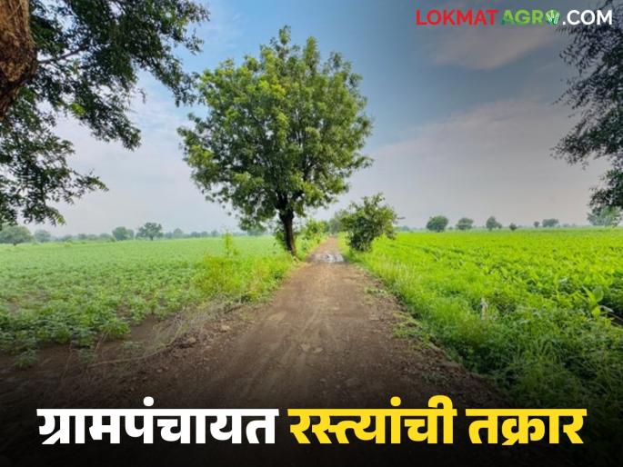 Latest News Gram Panchayat raste Where and how to file complaint roads of Gram Panchayat Boundry See details | Gram Panchayat : ग्रामपंचायतीच्या हद्दीतील रस्ते खराब असल्यास तक्रार कुठे अन् कशी करायची?