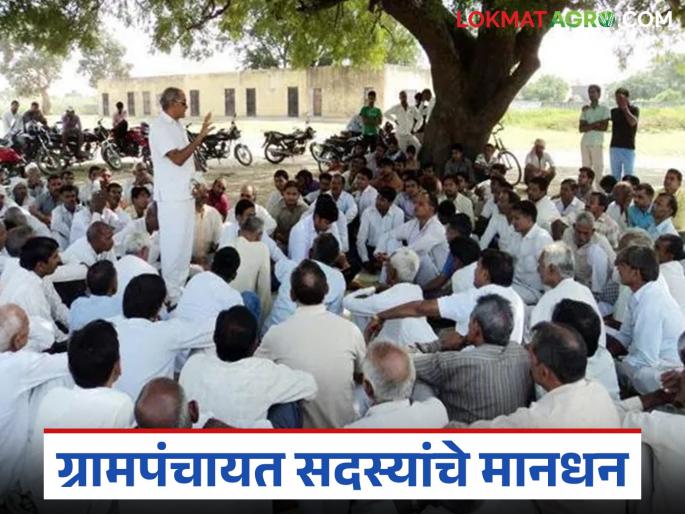 Latest News Grampanchayat How much is salary of Gram Panchayat member | Gram Panchayat : तुमच्या गावातील ग्रामपंचायत सदस्याला किती रुपये मानधन मिळतं? वाचा सविस्तर  Latest News Grampanchayat How much is salary of Gram Panchayat member | Gram Panchayat : तुमच्या गावातील ग्रामपंचायत सदस्याला किती रुपये मानधन मिळतं? वाचा सविस्तर
