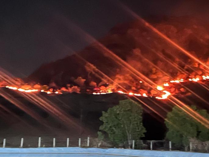 Mountain in Pingori area burnt down; Wildfire kills reptiles, animals and birds; Huge loss to forest resources | पिंगोरी परिसरात डोंगर होरपळला; वणव्यात सरपटणारे जीव, पशुपक्षी भक्ष्यस्थानी; वनसंपदेचे मोठे नुकसान   Mountain in Pingori area burnt down; Wildfire kills reptiles, animals and birds; Huge loss to forest resources | पिंगोरी परिसरात डोंगर होरपळला; वणव्यात सरपटणारे जीव, पशुपक्षी भक्ष्यस्थानी; वनसंपदेचे मोठे नुकसान