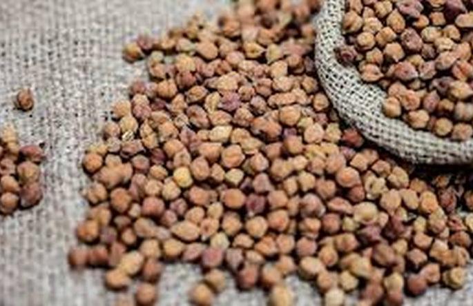 Free gram for working families with more than two members! | दोनपेक्षा जास्त सदस्य असलेल्या मजूर कुटुंबांनाच मोफत हरभरा! Free gram for working families with more than two members! | दोनपेक्षा जास्त सदस्य असलेल्या मजूर कुटुंबांनाच मोफत हरभरा!