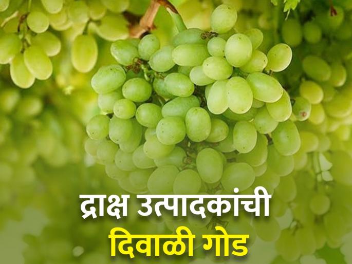 Start grape export; First container left for Russia | द्राक्ष निर्यातीचा शुभारंभ; पहिला कंटेनर रशियाला रवाना