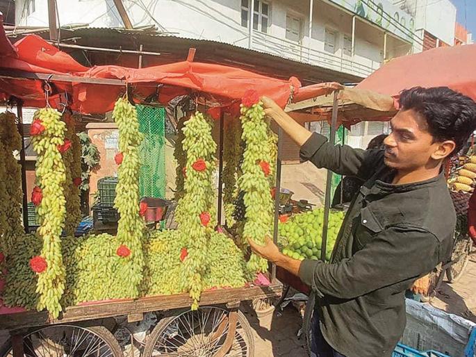 The fruit market flourished; Bunch of grapes decorated with roses in Shahaganj | फळबाजार बहरला; शहागंजात द्राक्षांच्या घडाला गुलाबाचा साज