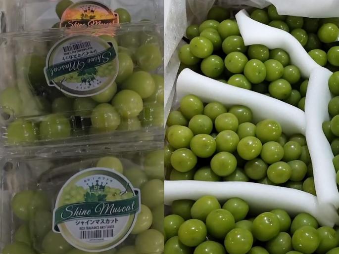 Oh my God, grapes have also started coming from China; the price is so high that we will get as many grapes as we have... | बापरे, चीनवरून द्राक्षेही येऊ लागली; किंमत एवढी की आपल्याकडची इतकी द्राक्षे येतील... Oh my God, grapes have also started coming from China; the price is so high that we will get as many grapes as we have... | बापरे, चीनवरून द्राक्षेही येऊ लागली; किंमत एवढी की आपल्याकडची इतकी द्राक्षे येतील...