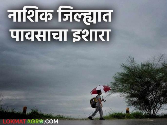 Latest News Nashik Rain Update Chance of rain in Nashik district on December 26 and 27 Read in detail | Nashik Rain Update : २६ आणि २७ डिसेंबर रोजी नाशिक जिल्ह्यात पावसाची शक्यता? वाचा सविस्तर  Latest News Nashik Rain Update Chance of rain in Nashik district on December 26 and 27 Read in detail | Nashik Rain Update : २६ आणि २७ डिसेंबर रोजी नाशिक जिल्ह्यात पावसाची शक्यता? वाचा सविस्तर