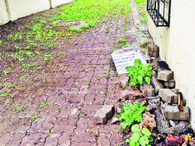 Grazing ground | स्मशानभूमीची वाट बनली बिकट Grazing ground | स्मशानभूमीची वाट बनली बिकट