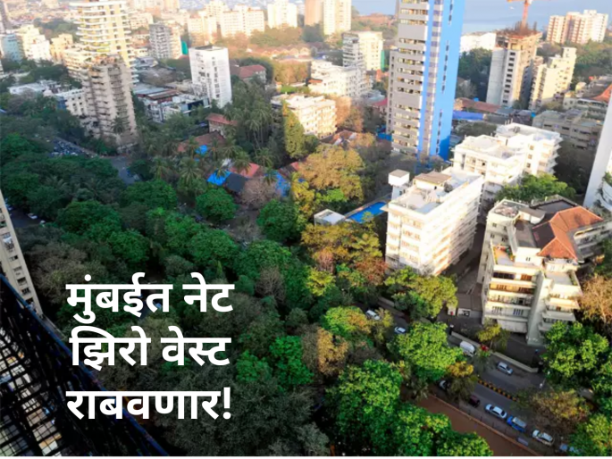 Green building initiative now in Mumbai, BMC plans measures to improve the environment | मुंबईमध्ये आता हरित इमारत उपक्रम, वातावरण सुधारण्यासाठी बीएमसीचा महत्त्वाचा निर्णय Green building initiative now in Mumbai, BMC plans measures to improve the environment | मुंबईमध्ये आता हरित इमारत उपक्रम, वातावरण सुधारण्यासाठी बीएमसीचा महत्त्वाचा निर्णय