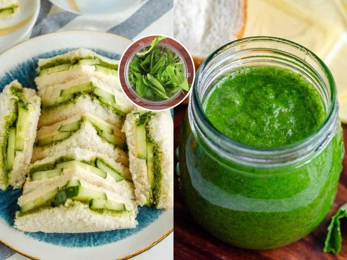 Here's a trick to make the same green chutney you get with sandwiches at hotels, check out the awesome recipe | हॉटेलमध्ये सॅण्डविचसोबत मिळते अगदी तशीच हिरवी चटणी करण्याची ट्रिक , पाहा मस्त रेसिपी