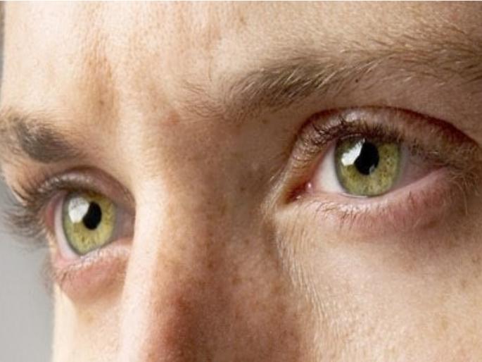 Look at the green color and remove the visual impairment; What is this treatment? Read this parable! | हिरवा रंग बघा आणि दृष्टिदोष घालवा; काय आहे हा उपचार? वाचा ही बोधकथा! Look at the green color and remove the visual impairment; What is this treatment? Read this parable! | हिरवा रंग बघा आणि दृष्टिदोष घालवा; काय आहे हा उपचार? वाचा ही बोधकथा!