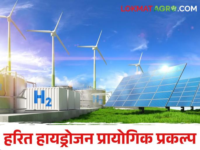 latest news country's first multi-purpose green hydrogen pilot project in himachal pradesh | देशातील पहिला बहु-उद्देशीय हरित हायड्रोजन प्रायोगिक प्रकल्प, काय आहेत वैशिष्ट्ये latest news country's first multi-purpose green hydrogen pilot project in himachal pradesh | देशातील पहिला बहु-उद्देशीय हरित हायड्रोजन प्रायोगिक प्रकल्प, काय आहेत वैशिष्ट्ये