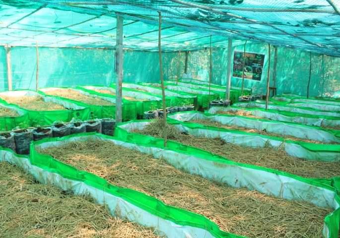 Guide to vermicomposting project at Sakedi! | साकेडी येथील गांडूळखत प्रकल्प ठरतोय मार्गदर्शक !