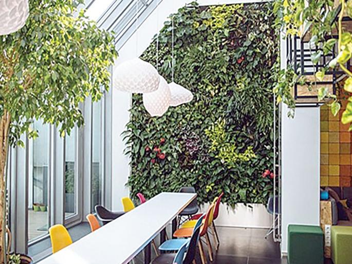 Green office is getting preference | ग्रीन ऑफिसला मिळतेय पसंती Green office is getting preference | ग्रीन ऑफिसला मिळतेय पसंती