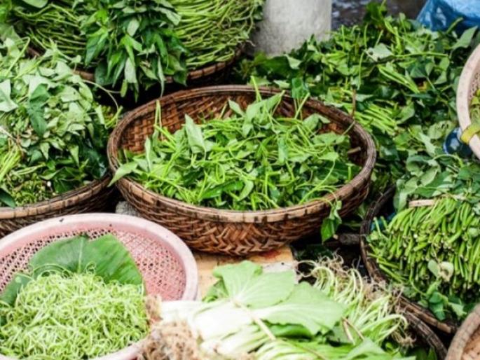 Vegetable prices, fruit prices stabilize; Farmers resentful due to lack of rainfall | पालेभाज्या महागल्या, फळांचे भाव स्थिर; परतीचा पाऊस न पडल्याने शेतकरी नाराज Vegetable prices, fruit prices stabilize; Farmers resentful due to lack of rainfall | पालेभाज्या महागल्या, फळांचे भाव स्थिर; परतीचा पाऊस न पडल्याने शेतकरी नाराज