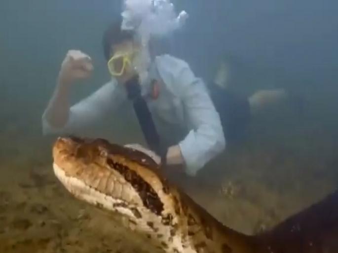 Green Anaconda Viral Video: Scientists Discover World's Largest Anaconda Snake | शास्त्रज्ञांनी शोधला जगातील सर्वात मोठा Anaconda साप, व्हिडिओ पाहून थक्क व्हाल... Green Anaconda Viral Video: Scientists Discover World's Largest Anaconda Snake | शास्त्रज्ञांनी शोधला जगातील सर्वात मोठा Anaconda साप, व्हिडिओ पाहून थक्क व्हाल...