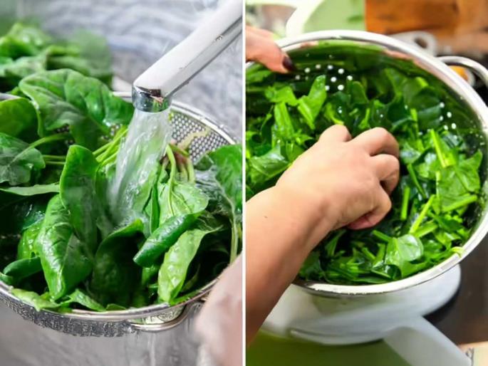 How many times should green leafy vegetables be washed before cooking Best way to remove insects and dirt from leafy greens at home Step-by-step guide to wash green vegetables safely | हिरव्या भाज्या किती वेळा धुवायला हव्या? 'या' चुका टाळा, अळ्या न कळत जातात पोटात- भाजी साफ करण्याची योग्य पद्धत