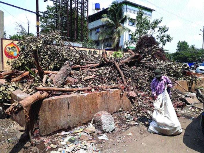 Municipal corporation has blown away cleanliness | महापालिकेनेच उडवला स्वच्छतेचा बोजवारा Municipal corporation has blown away cleanliness | महापालिकेनेच उडवला स्वच्छतेचा बोजवारा