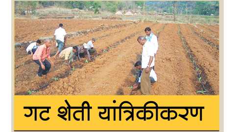 39 proposals for farmers' groop farming in Washim district | वाशिम जिल्ह्यात शेतकऱ्यांच्या गटशेतीसाठी ३९ प्रस्ताव 39 proposals for farmers' groop farming in Washim district | वाशिम जिल्ह्यात शेतकऱ्यांच्या गटशेतीसाठी ३९ प्रस्ताव