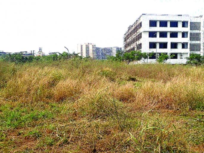 The disadvantages of the players are due to the grass growing on the field | मैदानात गवत वाढल्याने खेळाडूंची गैरसोय