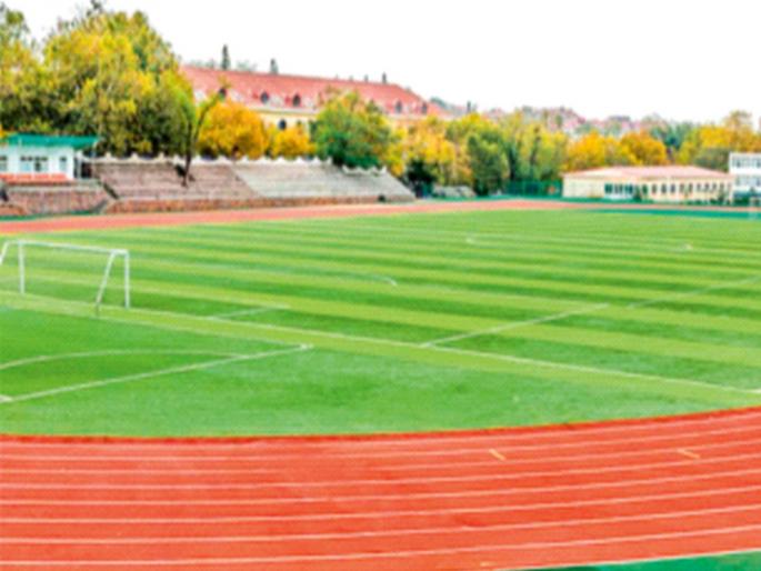 Does anyone save the fields? | कोणी मैदानं वाचवता का?