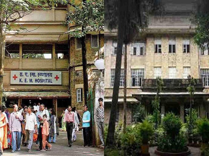 Even after 48 hours, no action was taken in the ragging case in GS | ४८ तासानंतरही ‘जीएस’मधील रॅगिंगप्रकरणी कारवाई शून्य Even after 48 hours, no action was taken in the ragging case in GS | ४८ तासानंतरही ‘जीएस’मधील रॅगिंगप्रकरणी कारवाई शून्य