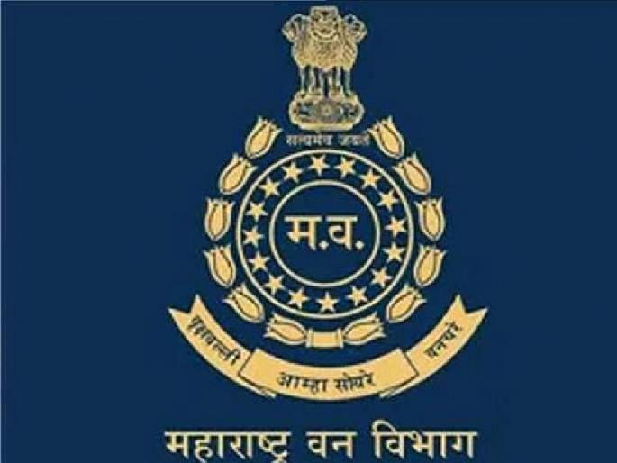 Strict transfer rules for forest rangers; Relaxation in transfer to Assistant Conservator of Forest, Sub Conservator of Forest | वन विभागात बदल्यांचे कठोर नियम आरएफओंना लागू, इतर पदांना मुभा Strict transfer rules for forest rangers; Relaxation in transfer to Assistant Conservator of Forest, Sub Conservator of Forest | वन विभागात बदल्यांचे कठोर नियम आरएफओंना लागू, इतर पदांना मुभा