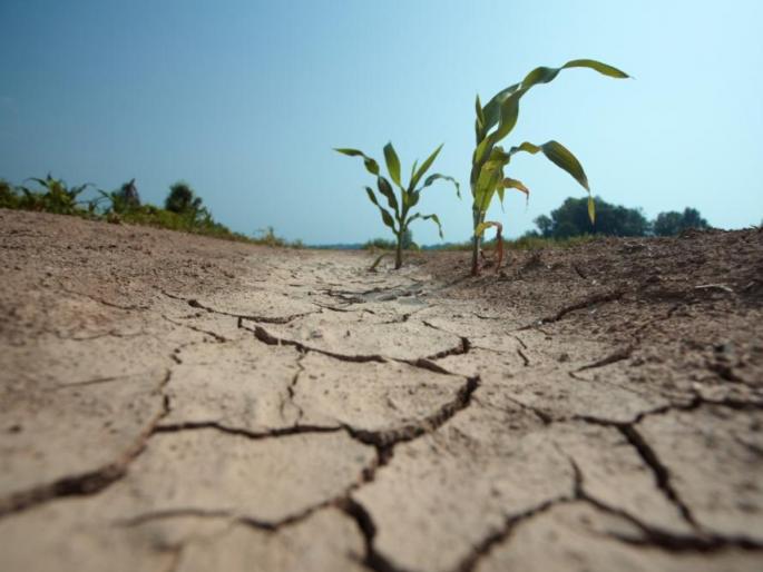 Drought-like situation declared in the district; Approval to apply discounts! | जिल्ह्यात दुष्काळसदृश परिस्थिती घोषित; सवलती लागू करण्यास मंजुरी! Drought-like situation declared in the district; Approval to apply discounts! | जिल्ह्यात दुष्काळसदृश परिस्थिती घोषित; सवलती लागू करण्यास मंजुरी!