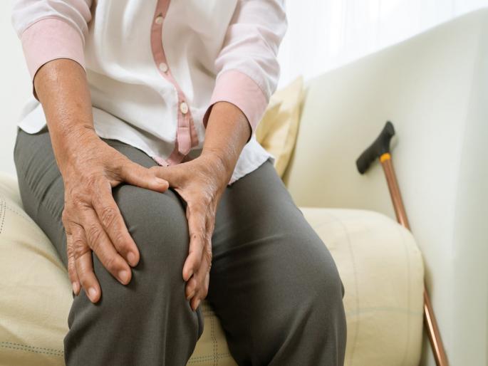 Arthritis drug buried in buffalo's trachea; New technology developed through research | म्हशीच्या श्वसननलिकेत दडलेय सांधेदुखीचे औषध; संशोधनातून नवं तंत्रज्ञान विकसित Arthritis drug buried in buffalo's trachea; New technology developed through research | म्हशीच्या श्वसननलिकेत दडलेय सांधेदुखीचे औषध; संशोधनातून नवं तंत्रज्ञान विकसित