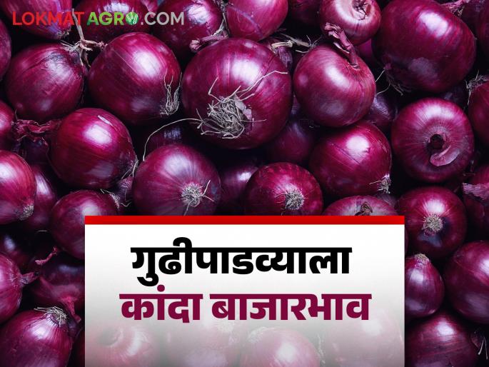 Latest News Kanda bajar bhav market price of onions during Gudi Padwa Read in detail | Kanda Bajar Bhav : गुढीपाडव्याला पुण्यात कांद्याला काय बाजारभाव मिळाला? वाचा सविस्तर Latest News Kanda bajar bhav market price of onions during Gudi Padwa Read in detail | Kanda Bajar Bhav : गुढीपाडव्याला पुण्यात कांद्याला काय बाजारभाव मिळाला? वाचा सविस्तर