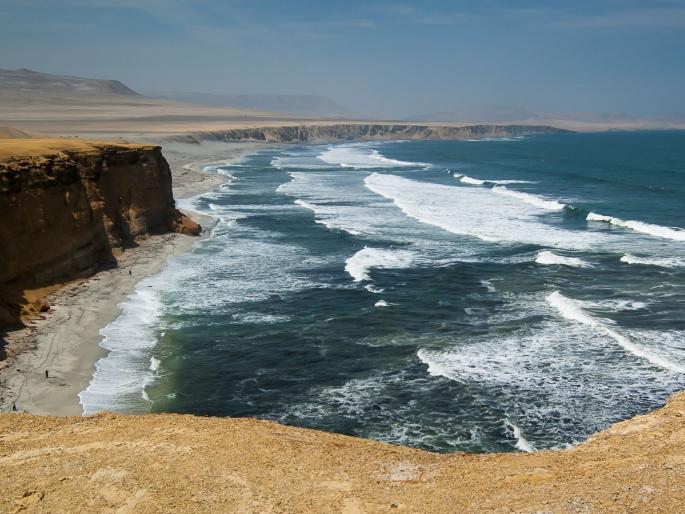 Thane couple dies while taking selfie | ठाण्यातील दाम्पत्याचा सेल्फी काढताना मृत्यू Thane couple dies while taking selfie | ठाण्यातील दाम्पत्याचा सेल्फी काढताना मृत्यू