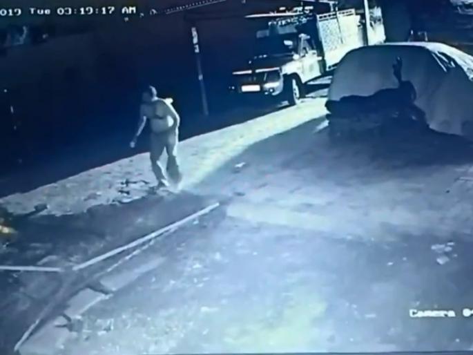 A video from Gujarat's Amreli has gone viral in which a lion entered a cowshed | Video: गायीला वाचविण्यासाठी 'तो' थेट सिंहाशी भिडला A video from Gujarat's Amreli has gone viral in which a lion entered a cowshed | Video: गायीला वाचविण्यासाठी 'तो' थेट सिंहाशी भिडला