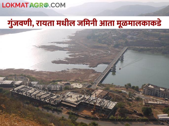 Rehabilitation stamps on land of Purandar project victims will be released now | पुरंदर प्रकल्प ग्रस्तांच्या जमिनीवरील पुनर्वसन शिक्के आता निघणार