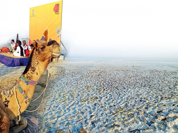 The complete desert ... the sweet desert of Gujarat from Kutch | पाचूचं वाळवंट...गुजरातच्या कच्छमधील मिठाचं वाळवंट The complete desert ... the sweet desert of Gujarat from Kutch | पाचूचं वाळवंट...गुजरातच्या कच्छमधील मिठाचं वाळवंट