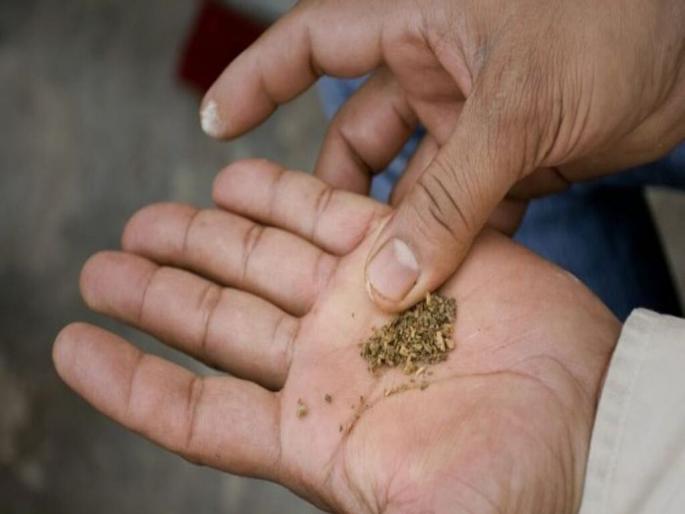 If you eat tobacco and gutkha, you have to cut your cheek! World No Tobacco Day | तंबाखू, गुटखा खाल तर कापावा लागेल गाल! जागतिक तंबाखू विरोधी दिन If you eat tobacco and gutkha, you have to cut your cheek! World No Tobacco Day | तंबाखू, गुटखा खाल तर कापावा लागेल गाल! जागतिक तंबाखू विरोधी दिन