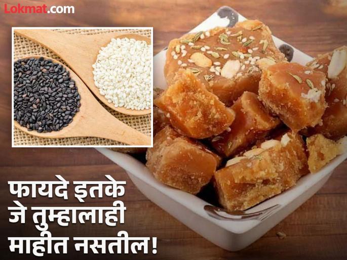 What are the benefits of consuming jaggery and sesame seeds together? | गूळ आणि तिळाचं एकत्र सेवन केल्याने काय फायदे मिळतात? वाचाल तर रोज खाल! What are the benefits of consuming jaggery and sesame seeds together? | गूळ आणि तिळाचं एकत्र सेवन केल्याने काय फायदे मिळतात? वाचाल तर रोज खाल!