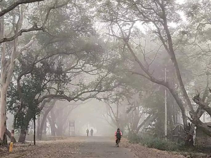 Even if the pink winter is gone, where? 'Nabh Clouds Invaded' Due to Fengal Effect; Rain showers in some cities | गुलाबी थंडी गेली तरी कुठे? फेंगल इफेक्टमुळे 'नभ मेघांनी आक्रमिले'; काही शहरांत पावसाचा शिडकावा Even if the pink winter is gone, where? 'Nabh Clouds Invaded' Due to Fengal Effect; Rain showers in some cities | गुलाबी थंडी गेली तरी कुठे? फेंगल इफेक्टमुळे 'नभ मेघांनी आक्रमिले'; काही शहरांत पावसाचा शिडकावा