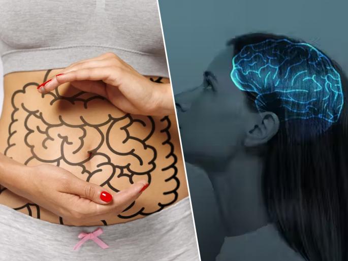 A Sixth Sense? Gut Bacteria Communicate Directly with the Brain, Study Finds | सिक्स सेन्स? आतड्यातील बॅक्टेरिया थेट मेंदूशी साधतात संवाद; रिसर्चमध्ये आश्चर्यकारक खुलासा