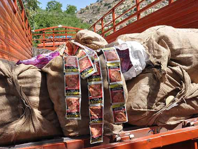 Gutkha worth Rs 43,000 seized in Khamgaon Buldhana; Police action | खामगावात ४३ हजार रुपयांचा गुटखा पकडला; पोलिसांची धडक कारवाई Gutkha worth Rs 43,000 seized in Khamgaon Buldhana; Police action | खामगावात ४३ हजार रुपयांचा गुटखा पकडला; पोलिसांची धडक कारवाई