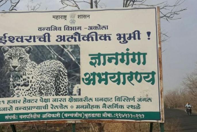 Gyanganga Sanctuary Expansion Movements! | ज्ञानगंगा अभयारण्य विस्ताराच्या हालचाली! Gyanganga Sanctuary Expansion Movements! | ज्ञानगंगा अभयारण्य विस्ताराच्या हालचाली!