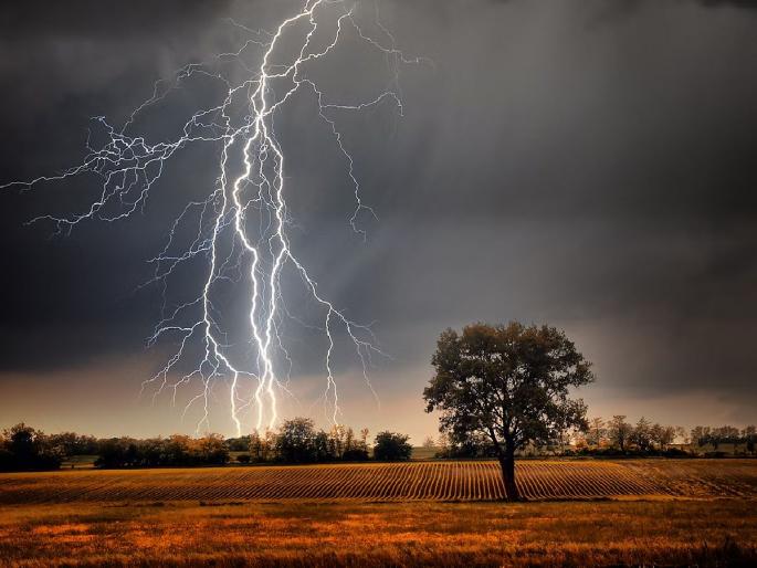 Woman dies due to lightning during running bullock cart, two survive | चालत्या बैलबंडीव वीज पडून महिलेचा मृत्यू, दोघे थोडक्यात बचावले Woman dies due to lightning during running bullock cart, two survive | चालत्या बैलबंडीव वीज पडून महिलेचा मृत्यू, दोघे थोडक्यात बचावले